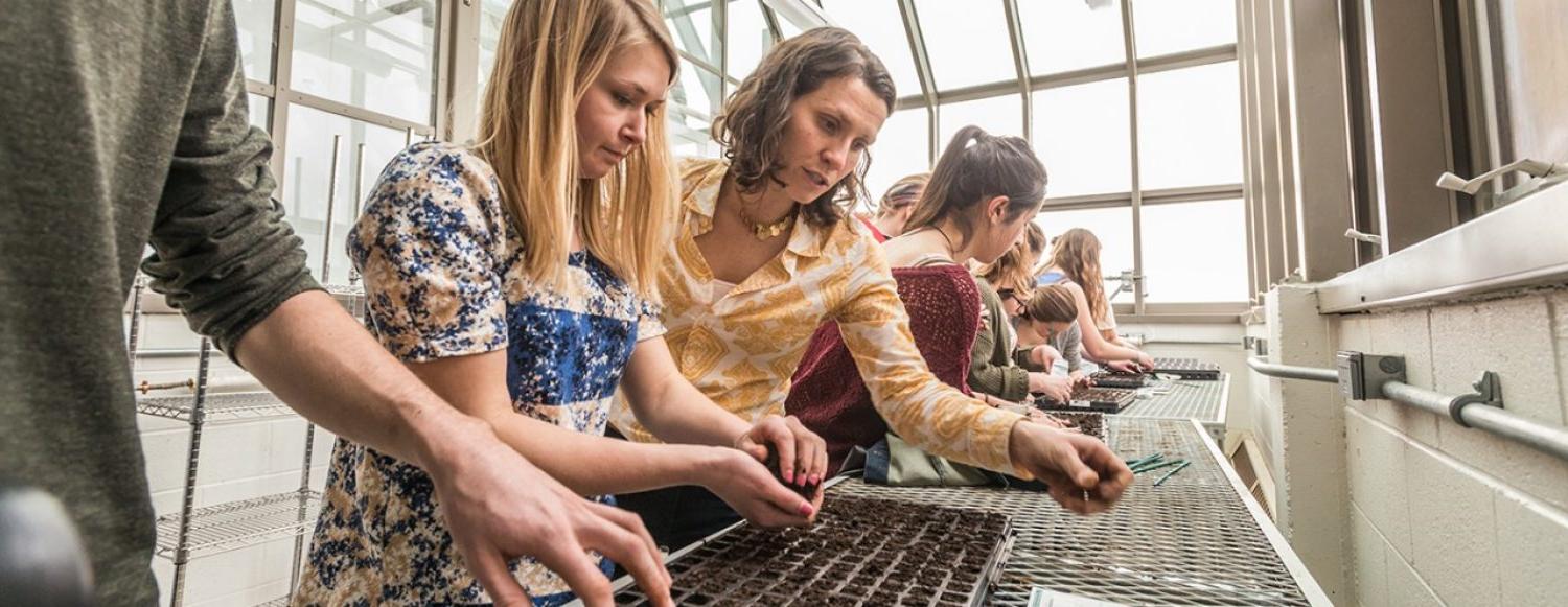 students working with seedlings